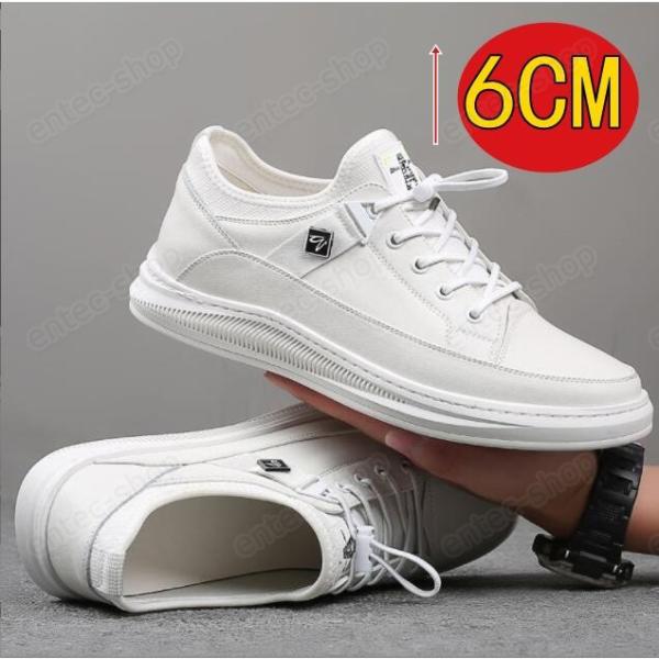 V[NbgV[Y Y fB[X Xj[J[  gAbv6cm up6cm wȂ V[NbgV[Y Cq[ K JWAV[Y