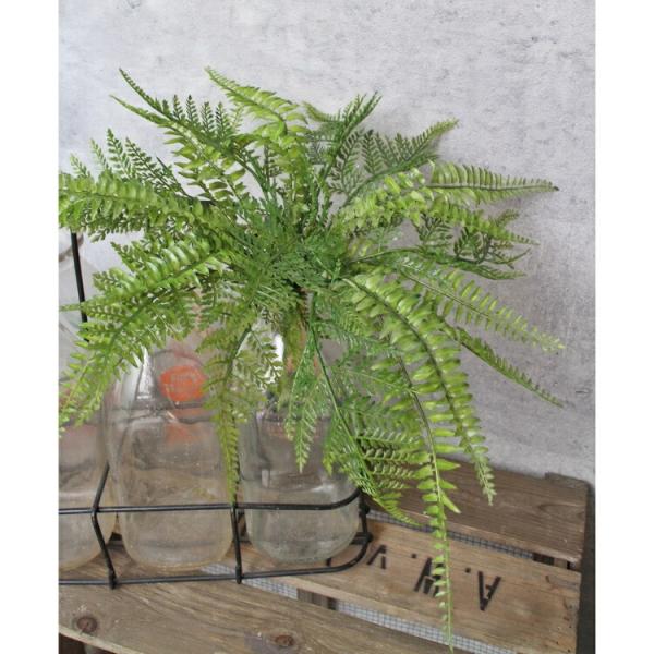 いなざうるす屋 フェイクグリーン シダシダミックス 壁飾り 壁掛けインテリア 観葉植物 ウォールデコレーション 緑 壁掛け インテリア イミテーショングリーン Buyee Buyee Japanese Proxy Service Buy From Japan Bot Online