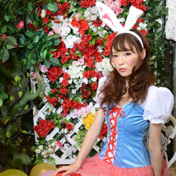 不思議の国のアリス ウサギ おもちゃの人気商品 通販 価格比較 価格 Com