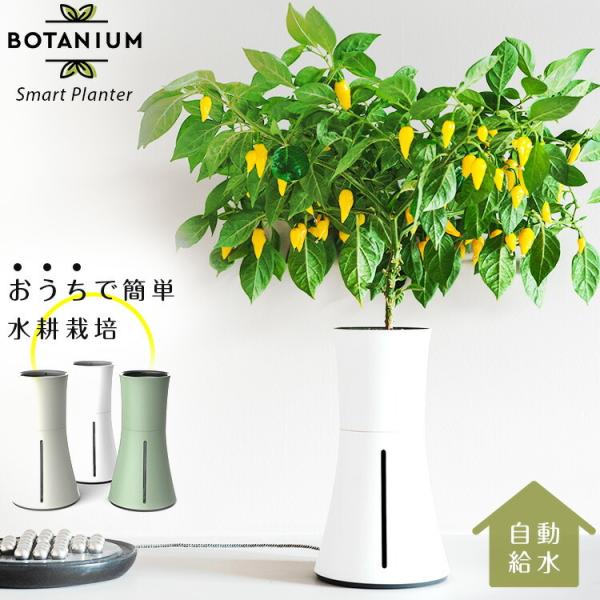 鉢 キット 水耕栽培 Diy 工具の人気商品 通販 価格比較 価格 Com