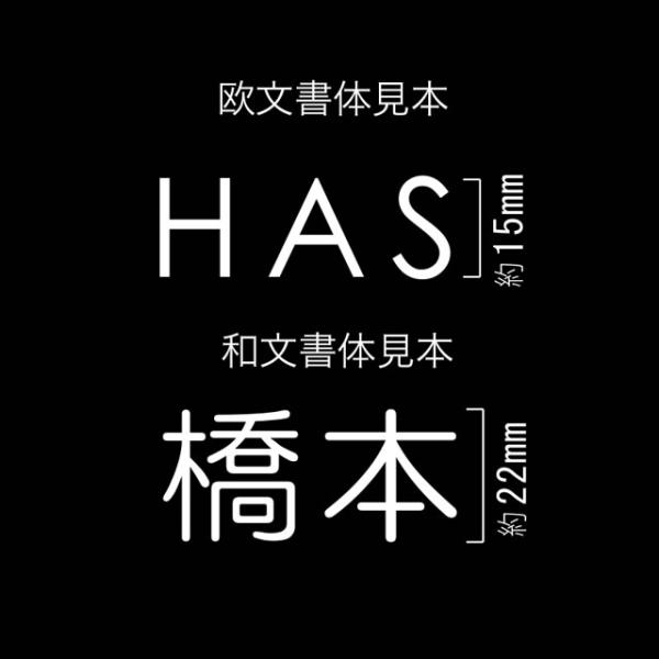 オンリーワン パーサス用 オプション ネームシート NA1-PTPONSW