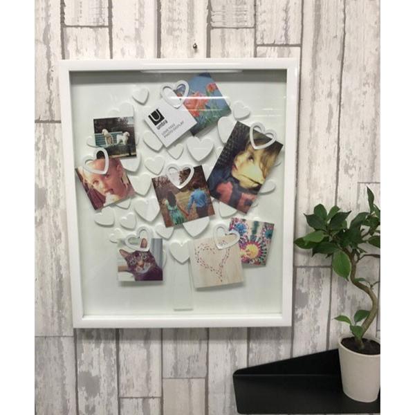 ʐ^ uc[tHgfBXvC tHg t[ fBXvC n[g Mtg Nbv ʐ^ v[g / Umbra Au