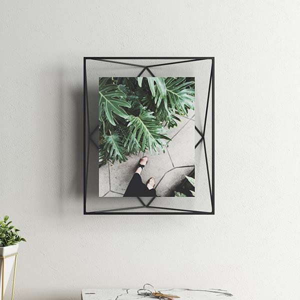 tHgt[ Ǌ| ʐ^ vY} tHgfBXvC 8X10 ubN t[ M[  Vv / Umbra Au