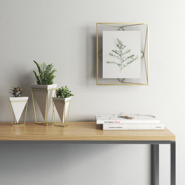 tHgt[ Ǌ|  t[ ʐ^ tHgfBXvC 8X10 }bguX vY} Vv / Umbra Au 0511CP