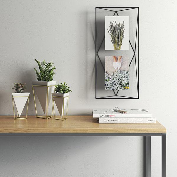 t[ tHgt[ Ǌ| tHgfBXvC M[ vY} }`tHgfBXvC ubN / Umbra Au