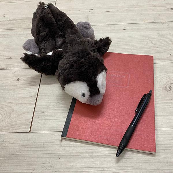 NICI jL tBMAy|[` Winter15 yM / y|[` Mtg 