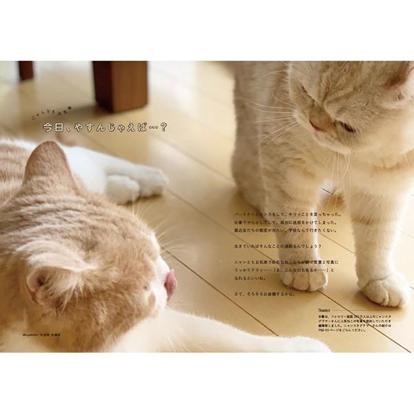 Jglobe 今日 やすんじゃえば サプライズbook ネコ 猫 写真 本 書籍 写真集 コンビニ本 インスタ 人気猫 癒し かわいい