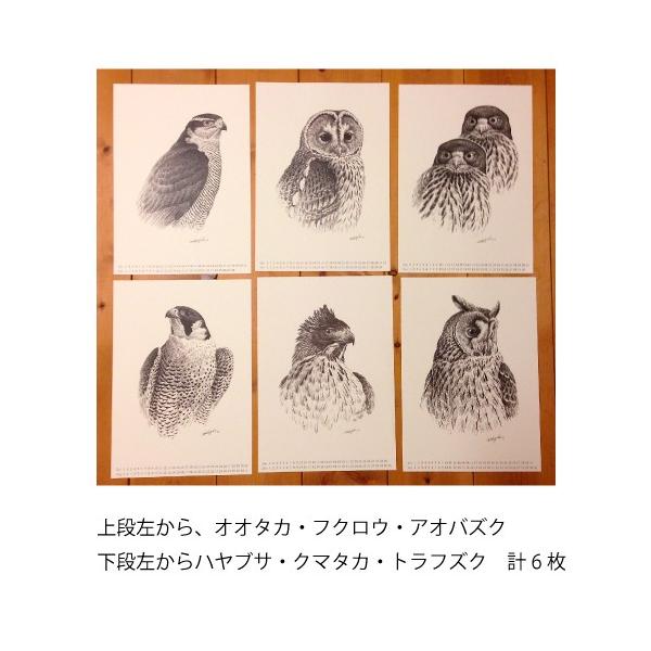 13年カレンダー 猛禽 Raptors 薮内正幸イラストグッズ Buyee Buyee 日本の通販商品 オークションの代理入札 代理購入