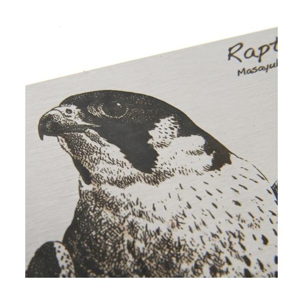 ステンレス製カードケース ハヤブサ 薮内正幸イラストグッズ Buyee Buyee Japanese Proxy Service Buy From Japan Bot Online