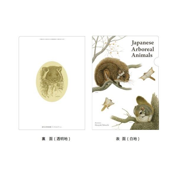 クリアファイル ムササビ モモンガ 薮内正幸イラストグッズ F102 いきもの細密画アートグッズ 通販 Yahoo ショッピング