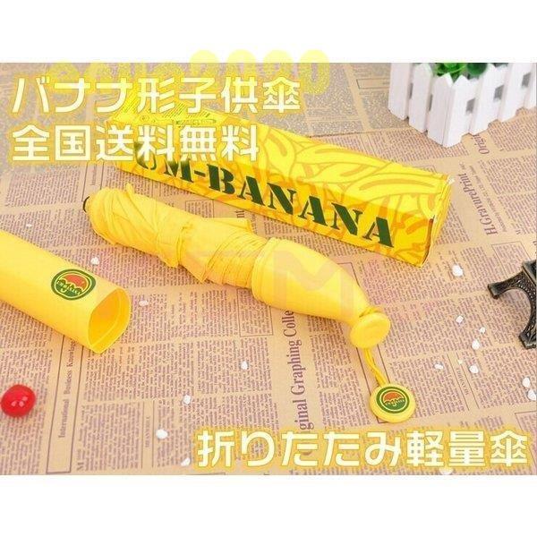 P q 55cm  50cm 50Z` LbY ܂肽ݎP qp ܏ݎP v 킢 ʊw JP y w LN^[ [ܕt v[g