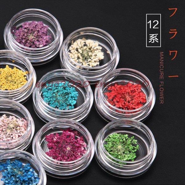 フラワー 押し花 ドライフラワー  ネイル 花 12色自由選べる ネイル用品 ホイル ジェル ネイル レジン パーツ の埋め込みに