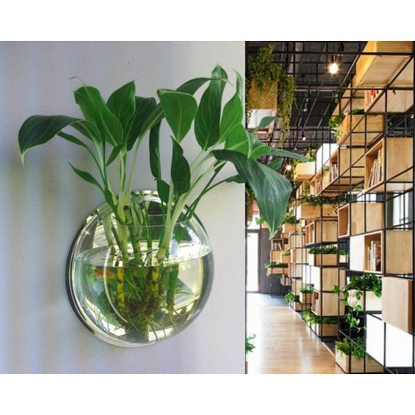 壁掛け式水槽 金魚鉢 壁掛け植物 栽培 花瓶 盆栽 水槽 鉢植え 吊り下げ式水槽 植木鉢 壁に掛ける インテリア