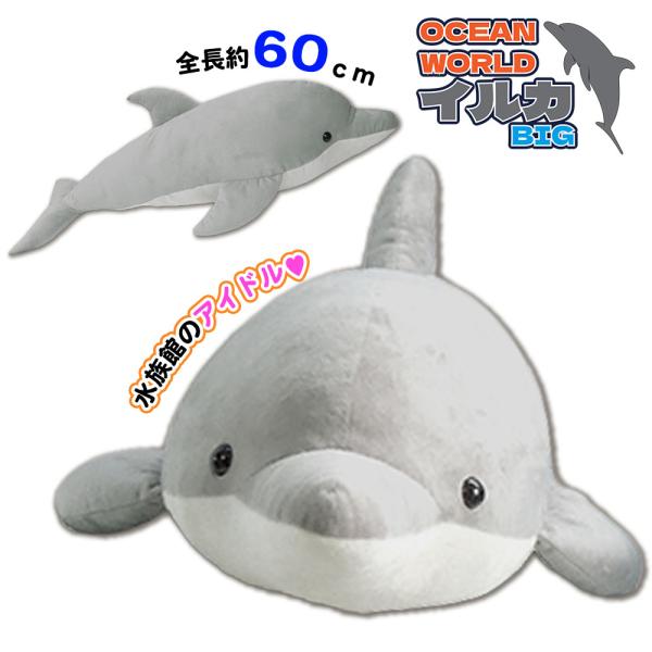 eomotya_4534943742438