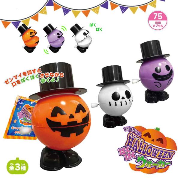 eomotya_4573512253395-12