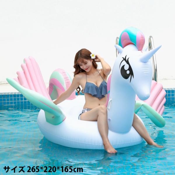 浮き輪ふたり用の価格と最安値 おすすめ通販を激安で