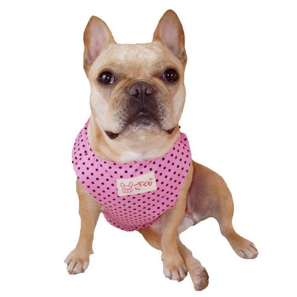 犬用クールエプロン型紙 小型犬用 Xs S テキスト付き Buyee Buyee Japanese Proxy Service Buy From Japan Bot Online