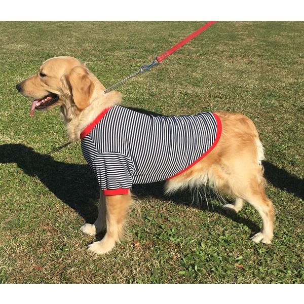 型紙 パターン 犬服 Tシャツ型紙 大型犬用 テキスト付き Pcs 002r Eパターン コレクション ヤフー店 通販 Yahoo ショッピング
