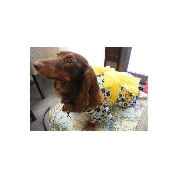 犬服型紙 浴衣 小型犬用 テキスト付き Buyee Buyee Japanese Proxy Service Buy From Japan Bot Online