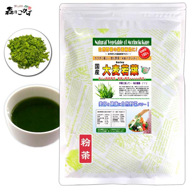 国産 大麦若葉 粉末 100g 福岡県産 おおむぎわかば パウダー 野菜粉末 (残留農薬検査済) 北海道 沖縄 離島も無料配送可 森のこかげ 売筋粉 国粉末