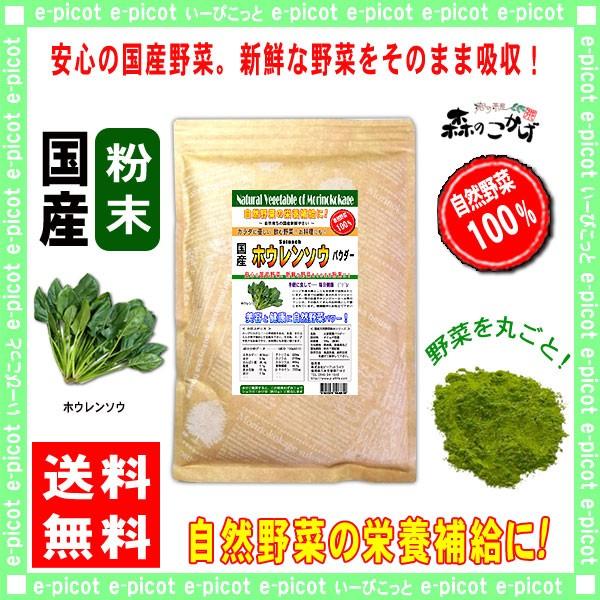 国産 ホウレンソウ 粉末 300g 熊本・宮崎県産 ほうれん草 パウダー 業務用 (残留農薬検査済み) 送料無料 北海道 沖縄 離島も無料配送可 森のこかげ 売筋粉