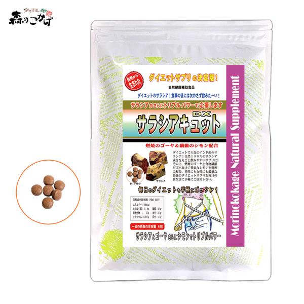 サラシア茶 サラシア さらしあ 無農薬 ティーバッグ コタラヒム 血糖値 糖質制限 生活習慣病 健康茶 人気 糖尿病 ハーブティー ノンカフェイン 寝る前 無添加 国産 デトックス 温活 美容 ストレス対策 毎日飲める