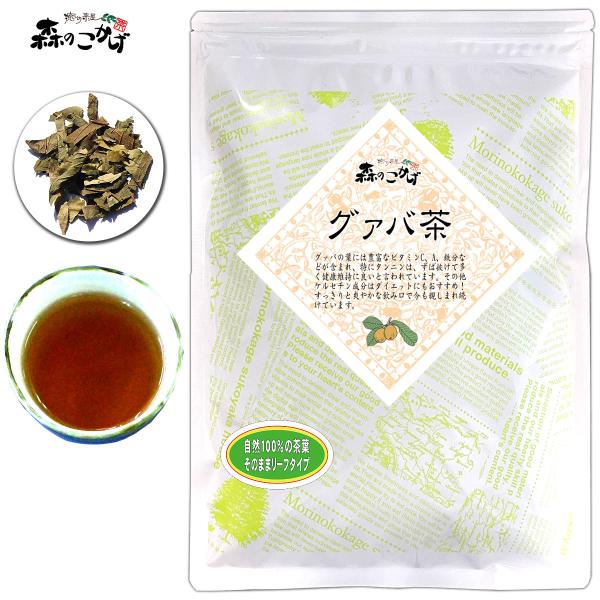他サイト： 1 グァバ茶 200g ガバ茶 グアバ茶 (残留農薬検査済) 北海道 沖縄 離島も無料配送可 森のこかげ 健リフの商品画像