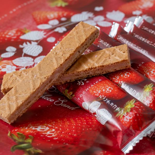 とちあいか チョコサンド 20枚入 栃木限定 苺 いちご