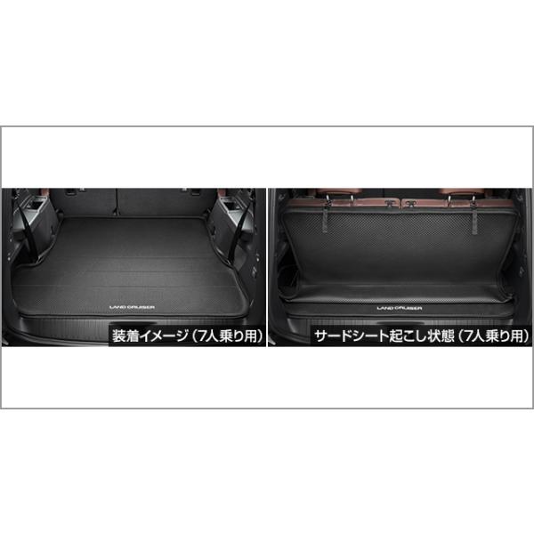 epix_l250-18