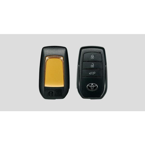 epix_l250-57
