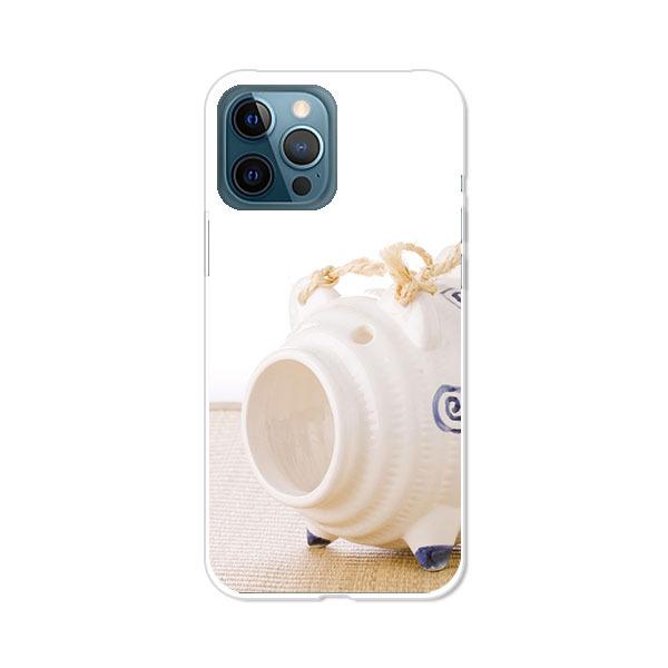 apple iphone12ProMax   fUCTPU\tgP[X