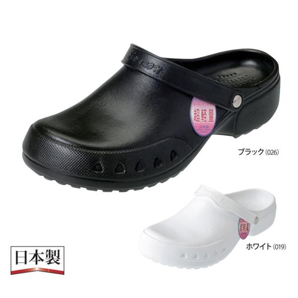 EVARON Y T_ y Go NbV R L fBJ  Ō  j hN^[ i[X 傫TCY