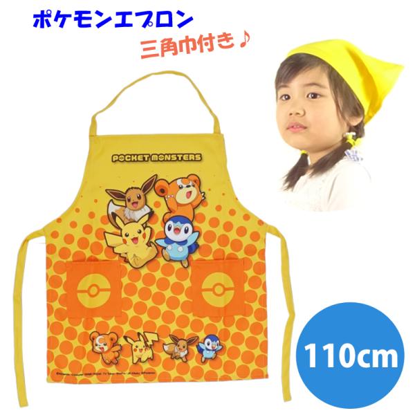 epuron-houko_pokemon-apcapset110
