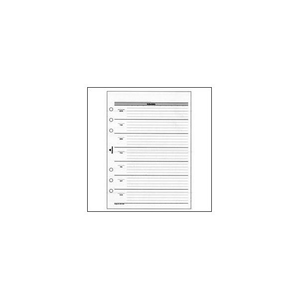 ASHFORD@A5TCYVXe蒠ptB Tԃ_CA[@J2Tԃ^Cv@itȂj