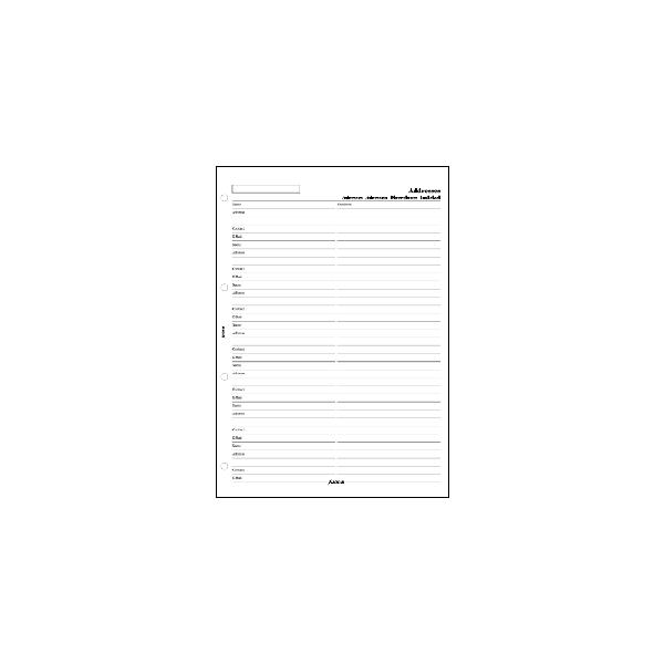 FILOFAX VXe蒠tB A4 4TCY AhX 257075