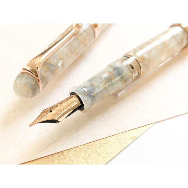 アウロラ万年筆　ヴォルテッラ　F erfolg_a757