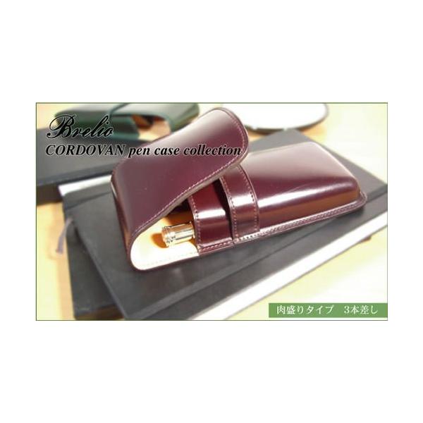 erfolg_brelio-cordovan-4609