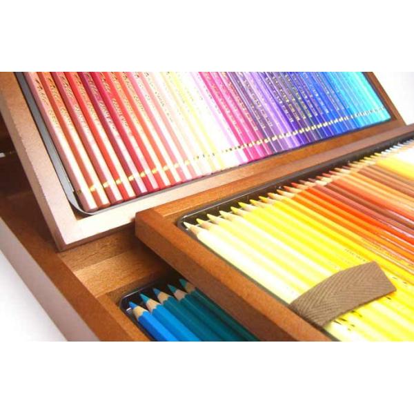 CARAND'ACHE PABLO 油性 色鉛筆 パブロ 120色木箱セット : ナガサワ