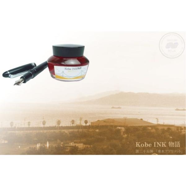 NMCN _INK 50ml AvRbg NAGASAWAIWi