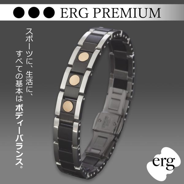 erg-online_epn-01