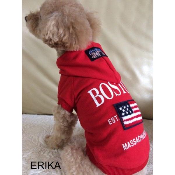 킢  H~ BOSTON vg  p[J[