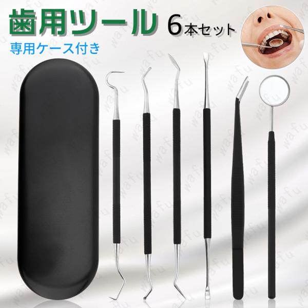 【商品説明】歯石や汚れを簡単チェック＆ケア！最適なプロ仕様のツール　6本セットです。手軽に 本格デンタルケアができます。持ち運びにも便利な専用ケース付きです。きっちり収まるので、安全かつ清潔に収納することができます。【セット内容】・鎌型aス...