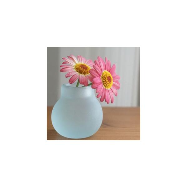 バリガラス ミニ フラワーベース B フロスト 一輪挿し ガラス おしゃれ 花瓶 小さい フラワーベース ミニ 丸型 シンプル 北欧 アジアン Buyee Buyee Japanese Proxy Service Buy From Japan Bot Online