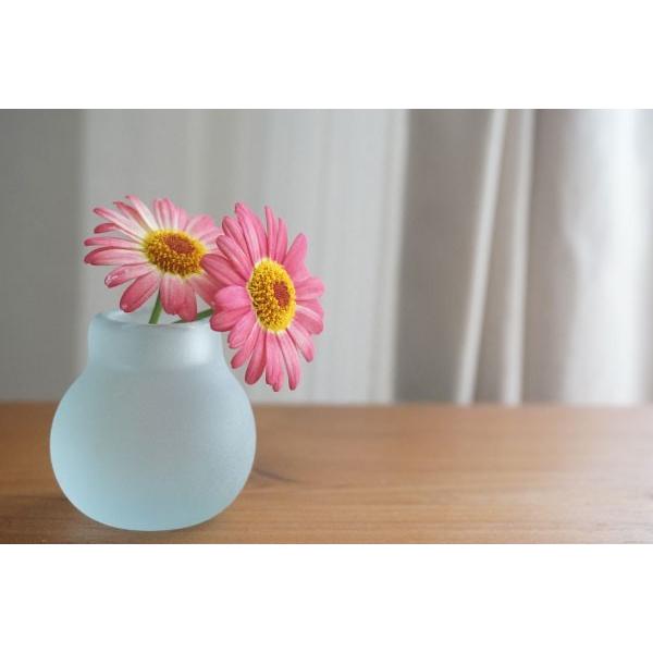 バリガラス ミニ フラワーベース B フロスト 一輪挿し ガラス おしゃれ 花瓶 小さい フラワーベース ミニ 丸型 シンプル 北欧 アジアン Buyee Buyee Japanese Proxy Service Buy From Japan Bot Online
