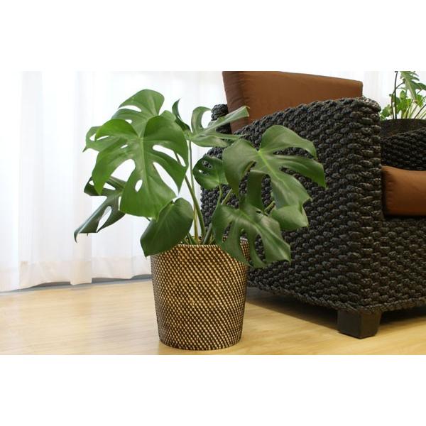 鉢カバー おしゃれ 北欧 観葉植物 籐 バスケット カゴ 収納 アジアン雑貨 バリ インテリア シンセティックラタン 鉢カバー Lサイズ ブラック Buyee Buyee Japanese Proxy Service Buy From Japan Bot Online