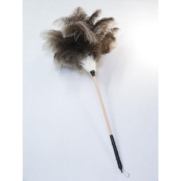 2015年9月発売の新商品です！欧米でよく家庭の掃除に使用されている長くてやわらかい羽根を使用しています。羽根も柄も長いので高い所や狭い所も☆お部屋中の隅々までお掃除楽々。実用面でもオーストリッチの羽根には素晴らしい特性があり、自動車工場の...