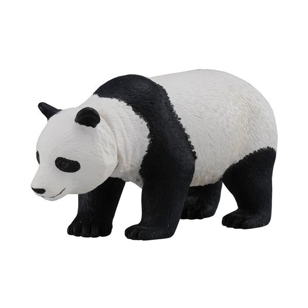 AjA AS-03 WCAgp_  ǂ q j̎q 3