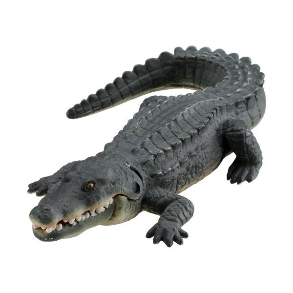 AjA AS-08 iCj  ǂ q j̎q 3