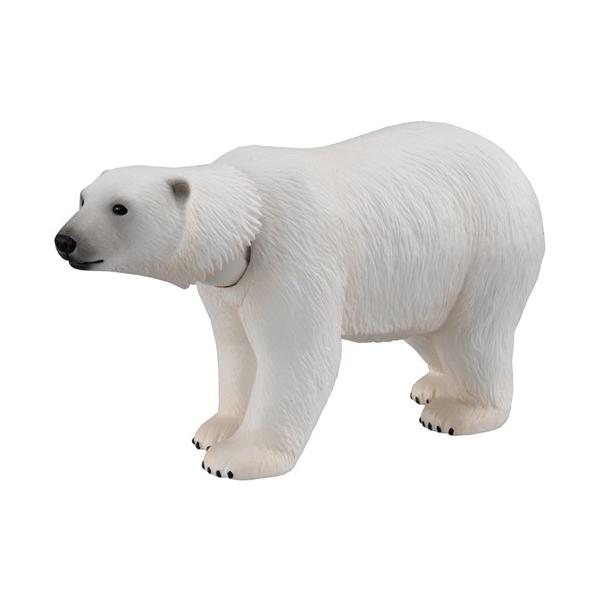 AjA AS-10 zbLNO}  ǂ q j̎q 3