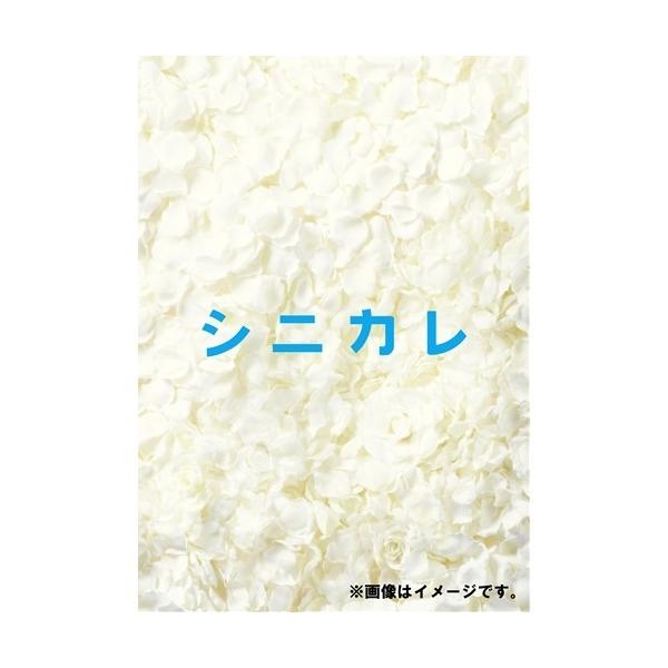 シニカレ完全版 DVD-BOX 【DVD】